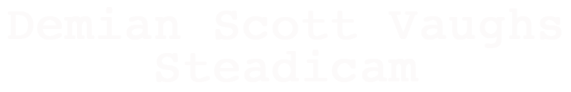 Demian Scott Vaughs